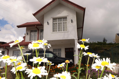 Thuring's Holiday Bungalow