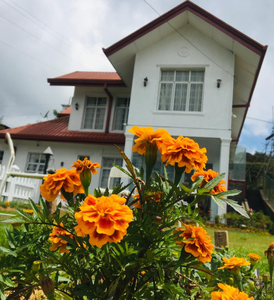 Thuring's Holiday Bungalow