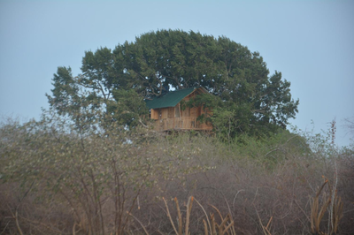 Yala Dream Park