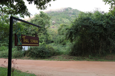 Thal Sewana Home Stay