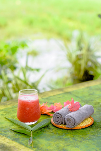 Paddy Field View Resort