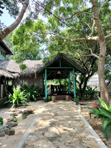 The Jungle House