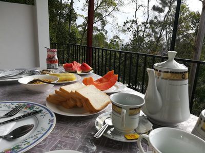 Amado Homestay Ella