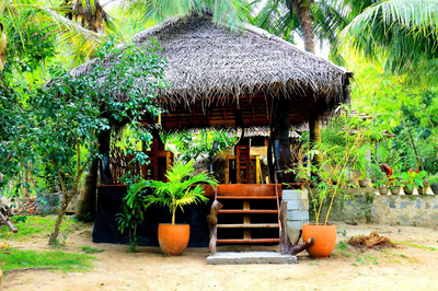 Turtle Watch Cabana