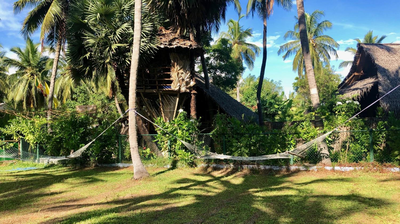 Wind Blend Kite Resort