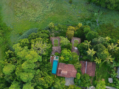 The Jungle Loft Galle