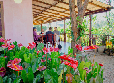 Nine Arch Homestay