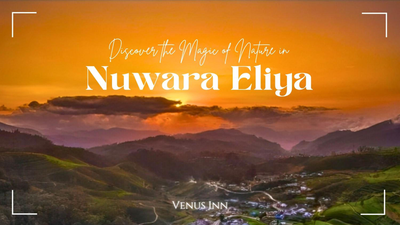 Venus Inn Nuwara Eliya