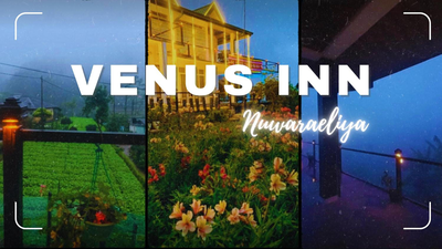 Venus Inn Nuwara Eliya