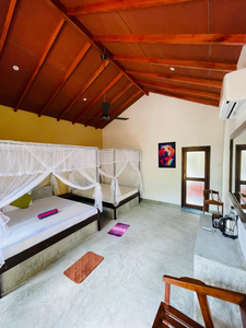 Mango Tree House