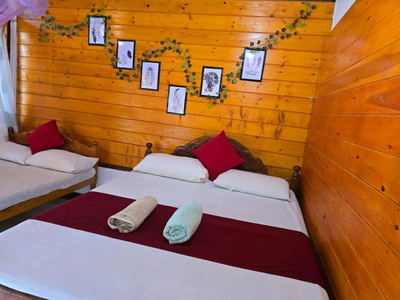 DOT BEY beach cabana