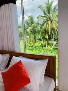 Chill House safari resort