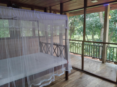 Green Herbal Ayurvedic Eco-Lodge