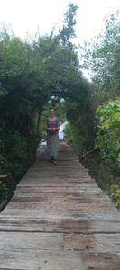 Forest Villa Nature Resort