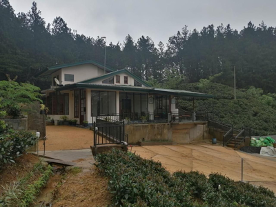 Yara Plantation Bungalow Adams peak Maskeliya