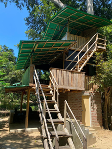 Forest Tree Top Holiday Resort