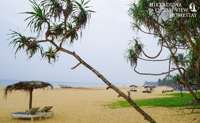 Hikkaduwa Ocean View Homestay
