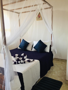 Sun and Sand Apartment
