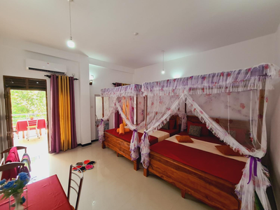 Jungle Lodge
