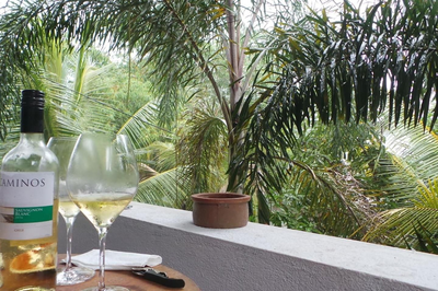 Luxury villa Costanza