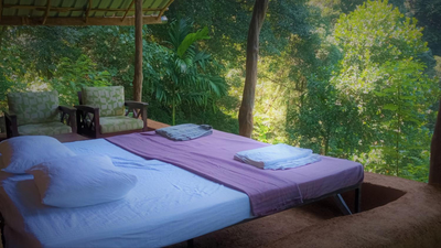 Chalet in the Jungle