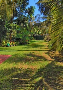 Hanthane.Lk