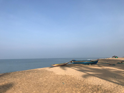 Spice of Ceylon
