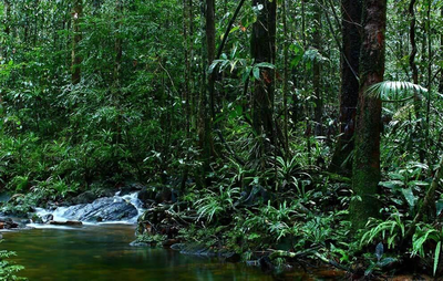 River Side Hostel