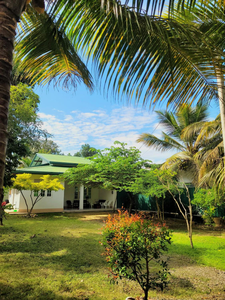 Serene Lush Holiday Home