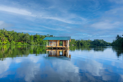 THE Mangrove cave Hotel