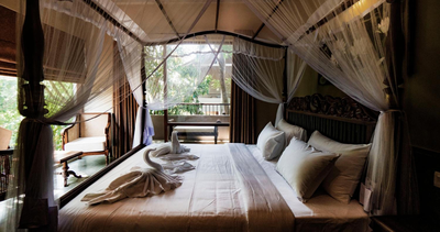 Ayur Ayur Resort & Ayurveda Retreat