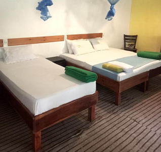 Ella Foret accomodation