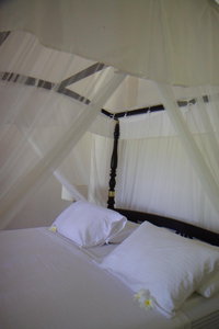Galle Henna Estate