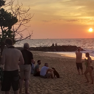 Ocean View Beach Resort - Kalpitiya