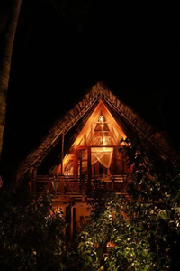 Cinnamon Paradise