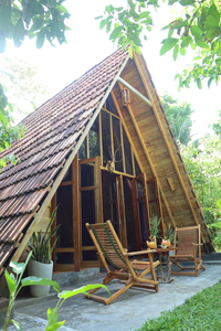 Cinnamon Paradise