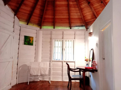 New Kahuna Cabanas