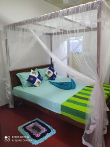 Rosy guest house.
