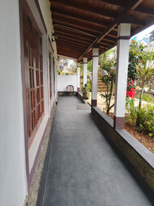 Cecilia cottage