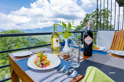 Nelinsa Wellness Resort & Spa
