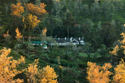 Scottish Planter Glendevon Bungalow Nuwara Eliya