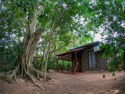 Wilpattu Mookalan Resort