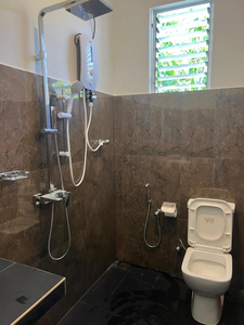 Birds Nest 2