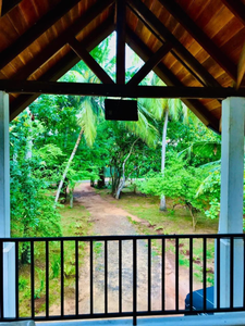 Ever Green Family & Tourists Resort