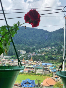 Mountain view homestay