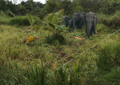Darshani Lodge
