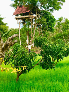 Darshani Lodge
