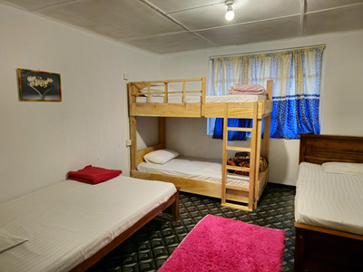 Haven backpackers