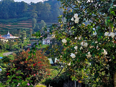 Haven backpackers