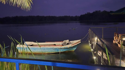 Wilpattu Green Cabin
